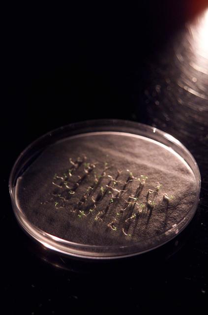 NASA image: ARC-2003-ACD03-0174-028