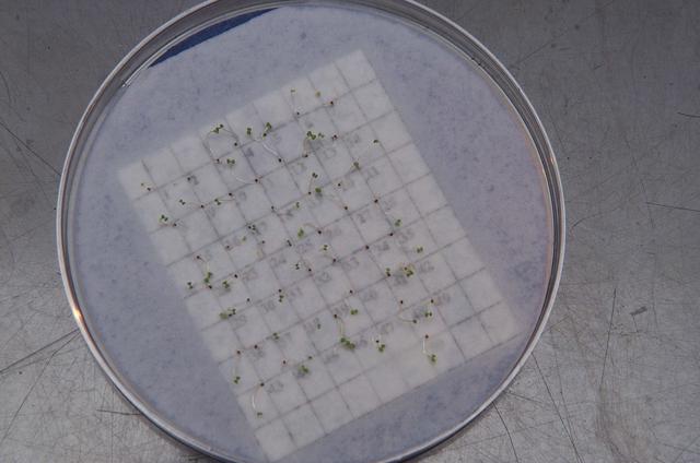 ARC-2003-ACD03-0174-029