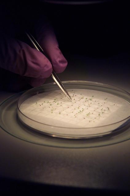 ARC-2003-ACD03-0174-030