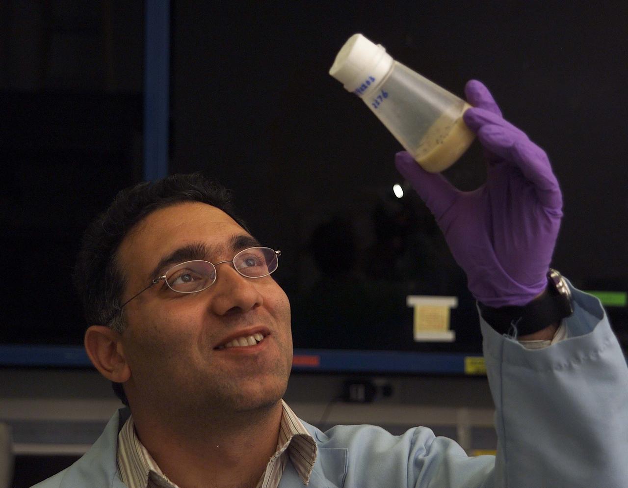 SSBRP Incubator/Small Payloads Development (N-261 Lab 1) speciems, with Jacob Cohen in his lab  (ref: NASDA Glovebox)