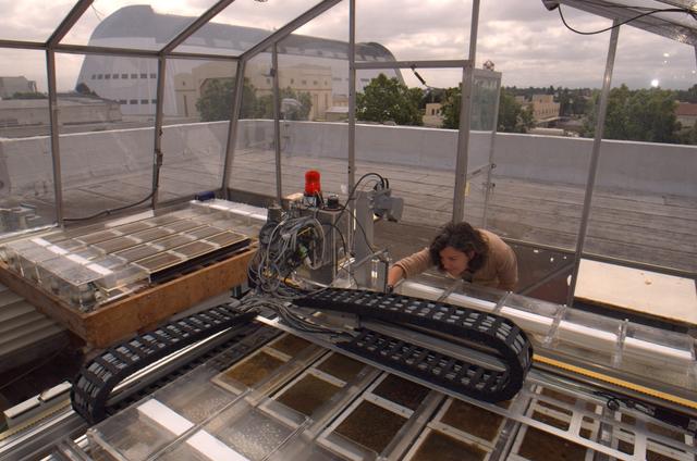 MICROBIAL MATS; N-239 GREENHOUSE WITH LEE BEBOUT AND MARY HOGAN (PLANT - ORGANISMS) for ASTROBIOLOGY MAGAZINE ARTICLE