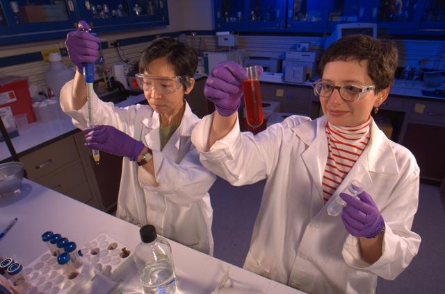 Hiromi Kagawa and Kira Foygel working with blood samples in NASA Ames Research Center biosafety level 2 laboratory.