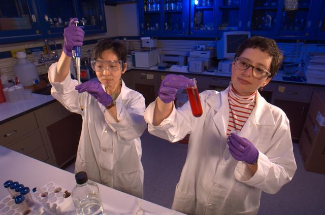 Hiromi Kagawa and Kira Foygel working with blood samples in biosafety level 2 laboratory.