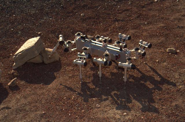 Scorpion robot demo at the Ames Mars test bed