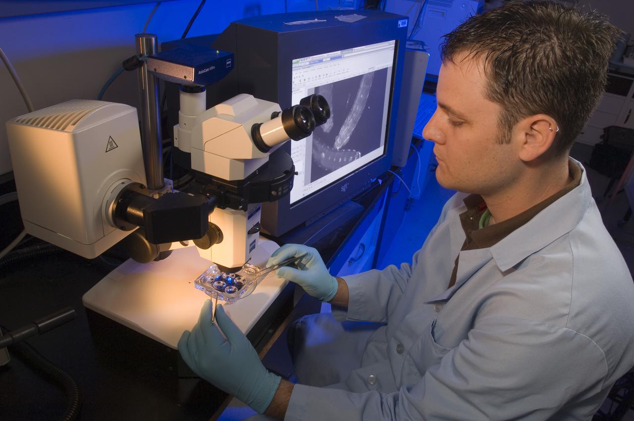 Space shuttle STS-121 FIT (Fly Immunity and Tumors) payload.  Using Drosophila (fruit fly) to complete the experiments. Matt Lera doing sample preparation for post light analysis of Drosophila melanogaster (fruit fly) larva