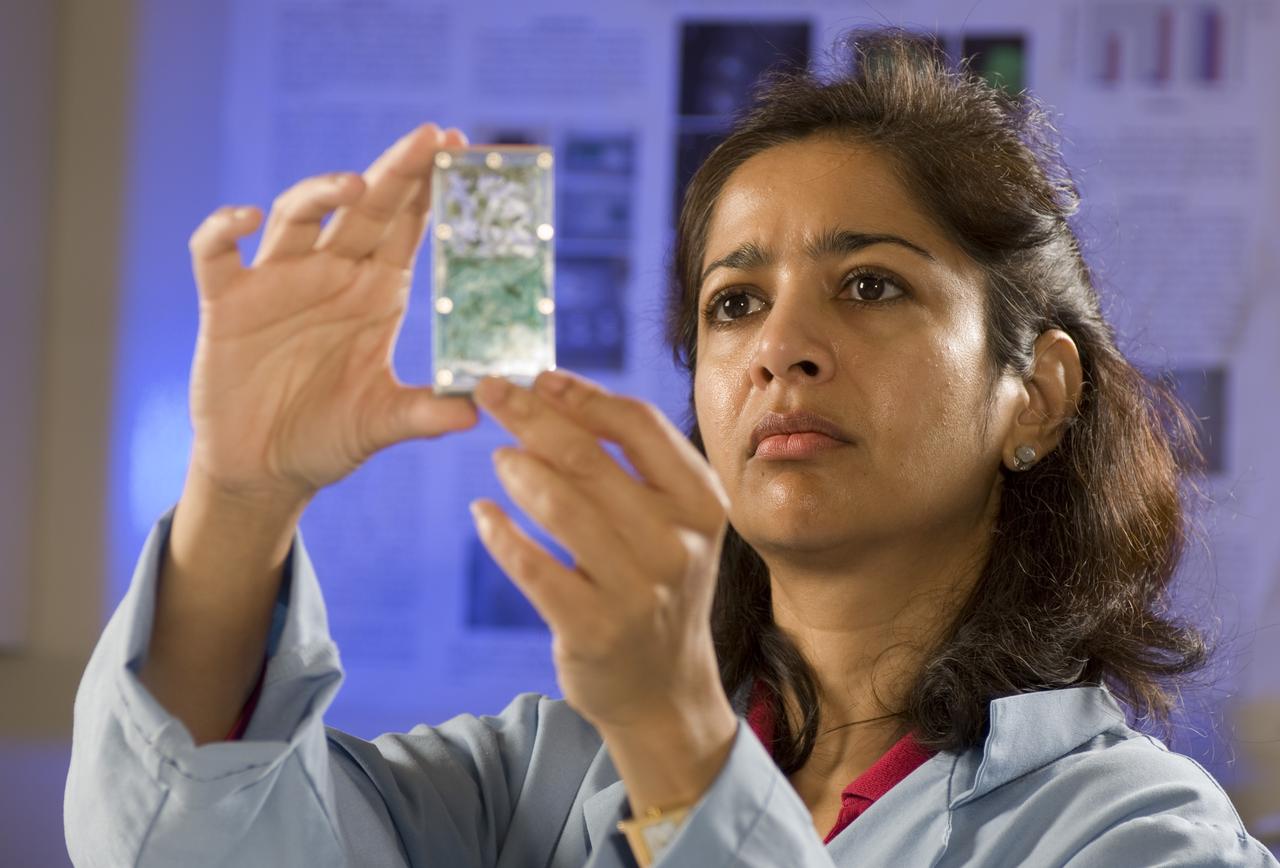 Sharmila Bhattacharya is the principal investigator for the STS-121 space shuttle flight experiment, Fly Immunity and Tumors (FIT). She is shown here viewing Drosophila (fruit fly) inside inscet containers used during flight. Living quarters for insects.