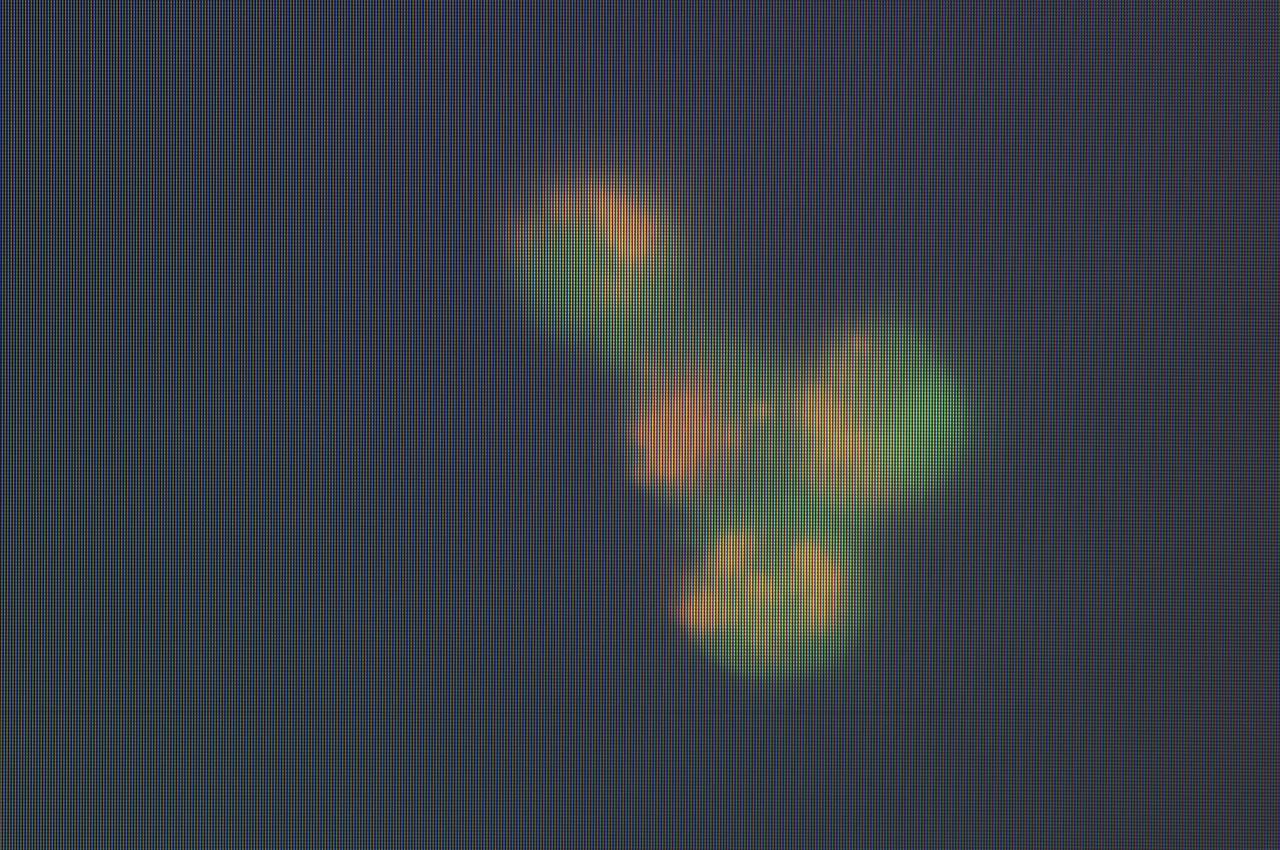 Space shuttle STS-121 FIT (Fly Immunity and Tumors) payload. Using Drosophila (fruit fly) to complete the experiments. Computer screen showing green fluorescent protein used to visualize blood cells in Drosophila (fruit fly).
