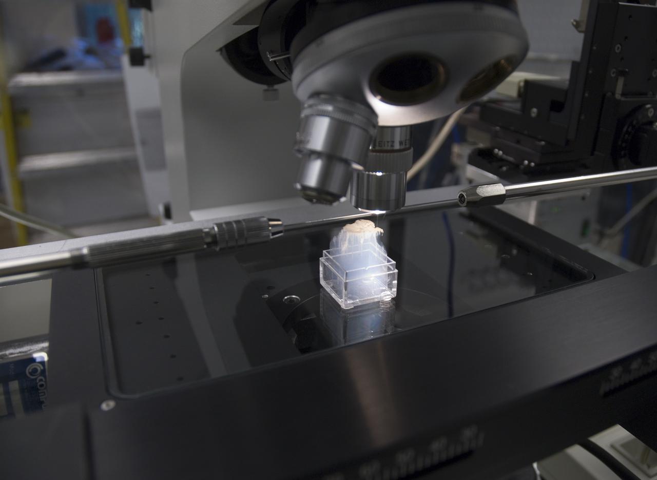 Stardust sample analysis @ UC Berkeley clean room  with Dr Scott Sandford, NASA Ames Astrophysicist -  mission aerogel samples provided to UC Berkeley for analysis by NASA on microscope