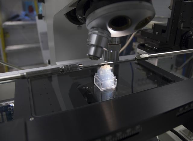 NASA image: ARC-2006-ACD06-0216-005