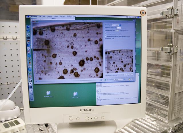 NASA image: ARC-2006-ACD06-0216-013