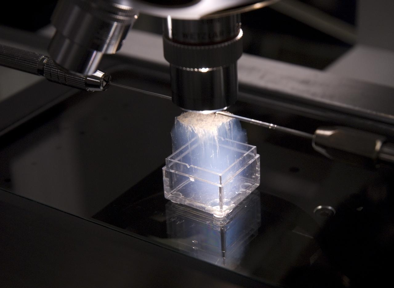 Stardust sample analysis @ UC Berkeley clean room  with Dr Scott Sandford, NASA Ames Astrophysicist - mission aerogel samples provided to UC Berkeley for analysis by NASA on microscope