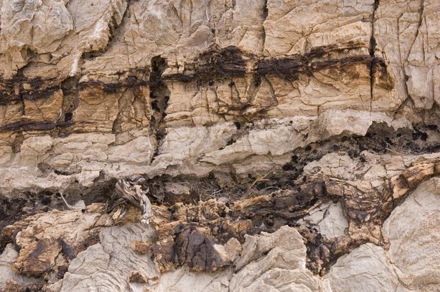 NASA image: ARC-2007-ACD07-0056-058