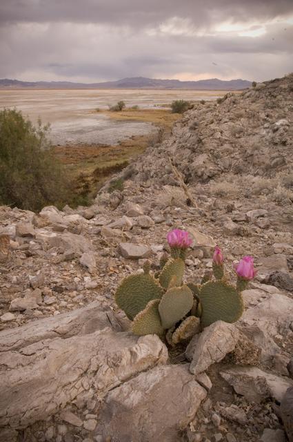 ARC-2007-ACD07-0056-174