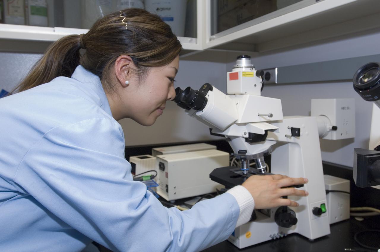 STS-121 PAYLOAD; FIT FRUITFLIES (DORSOPHILA) Post flight with Min Choi checking microscope