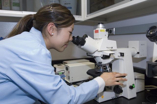 NASA image: ARC-2007-ACD07-0207-003