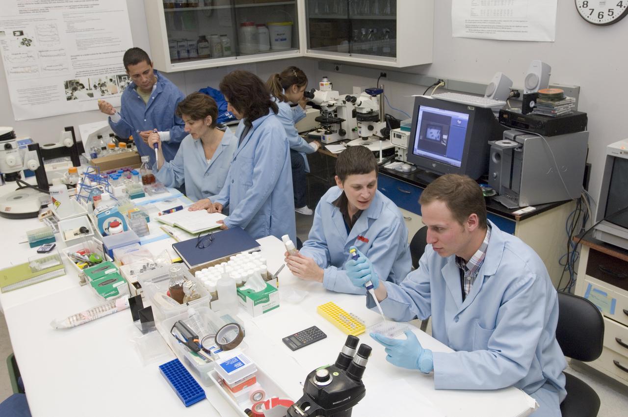 STS-121 PAYLOAD; FIT FRUITFLIES (DORSOPHILA) Post flight w/l-r: Max Sanchez, Oana Marcu, Sharmila Bhattacharya, P.I., Laura Higgins and Florian Selch and Min Chi in background on microscope