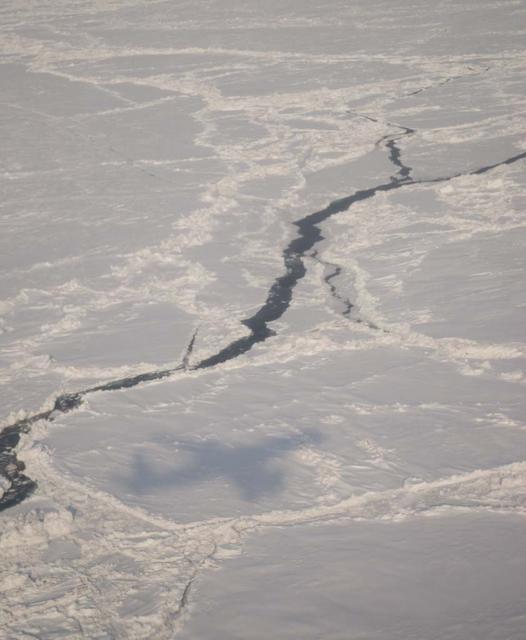 Ames launches ARCTAS Mission campaign to study the Arcitc atmosphere.