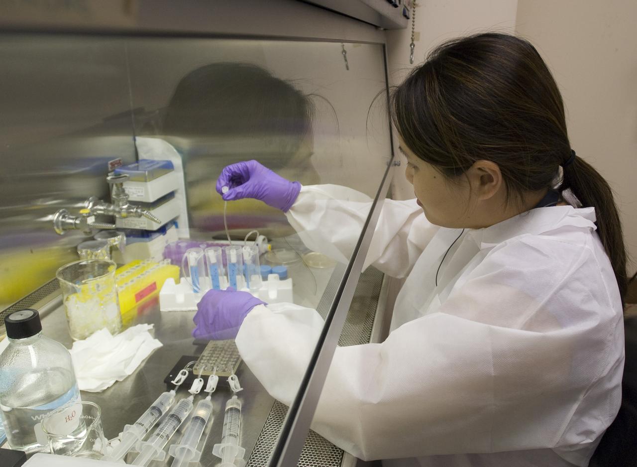 Pre-Sat/Pharmasat practice/backup box Dianna Ly loading the fluidic card in clean environment