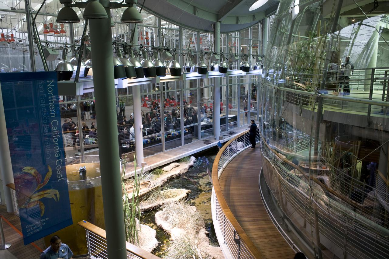 Yuri's Night 2009 held at the California Acaemy of Sciences in San Francisco, California