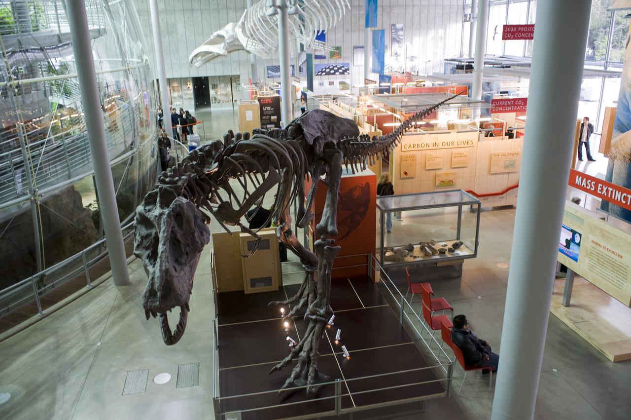 Yuri's Night 2009 held at the California Acaemy of Sciences in San Francisco, California