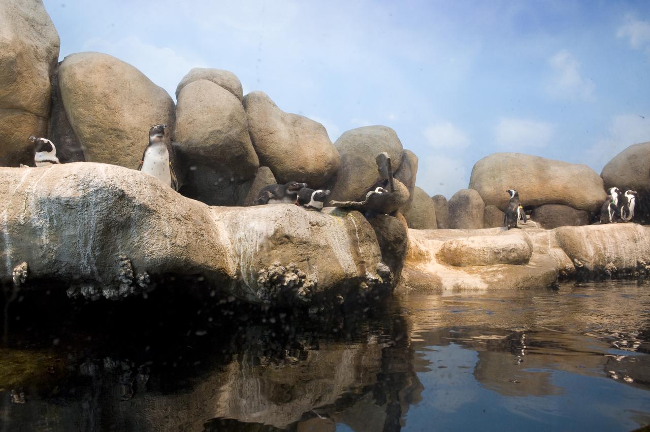 Yuri's Night 2009 held at the California Acaemy of Sciences in San Francisco, California