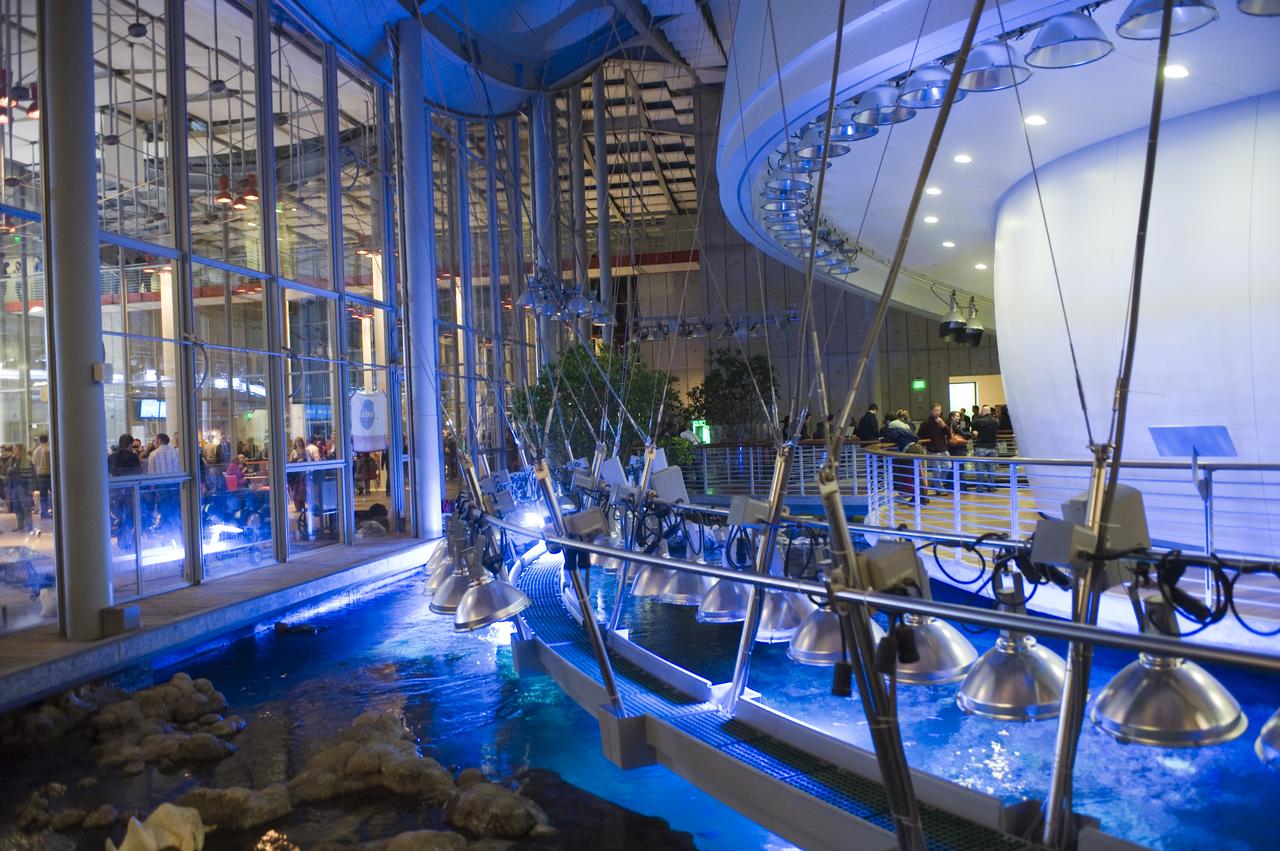 Yuri's Night 2009 held at the California Acaemy of Sciences in San Francisco, California