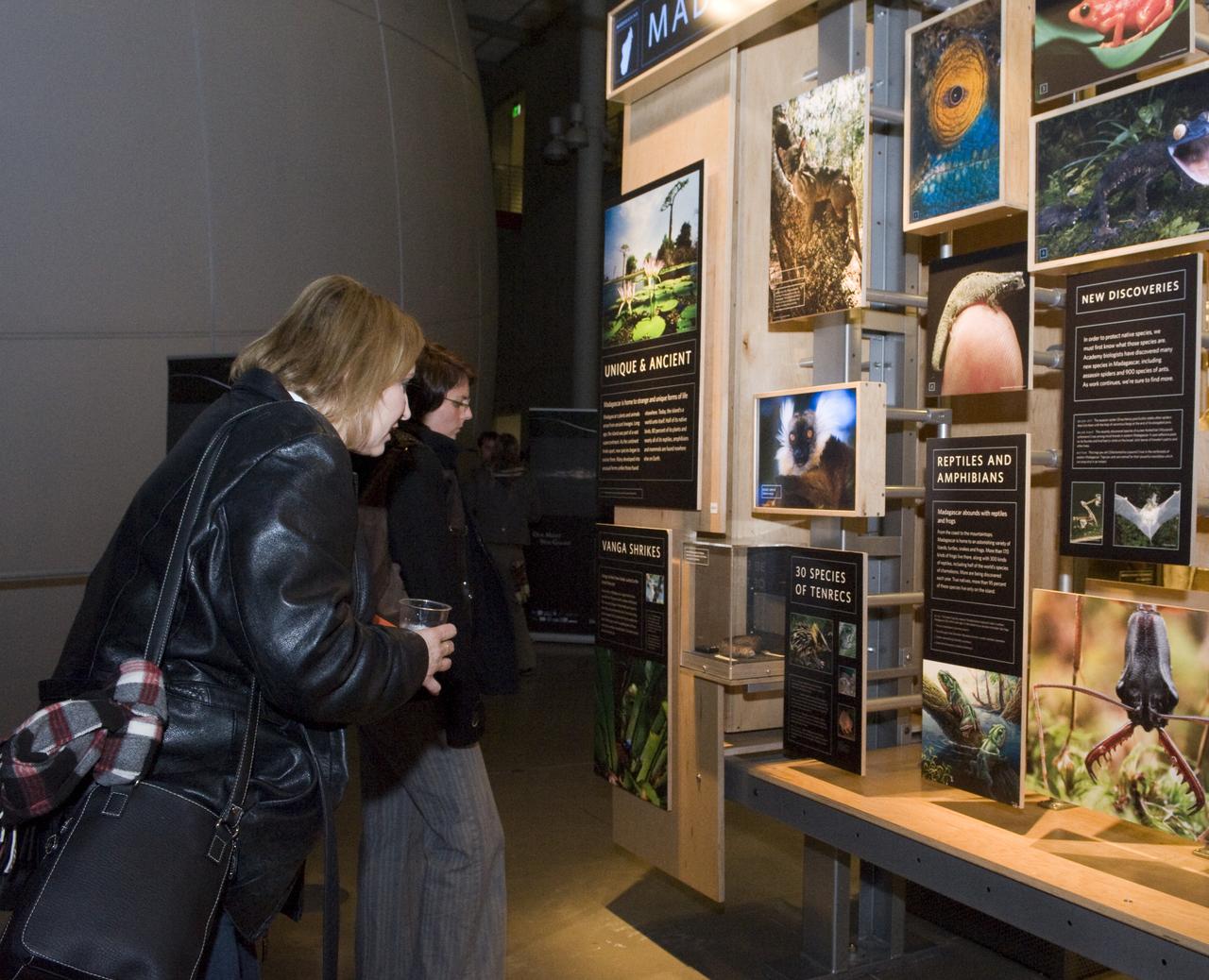 Yuri's Night 2009 held at the California Acaemy of Sciences in San Francisco, California
