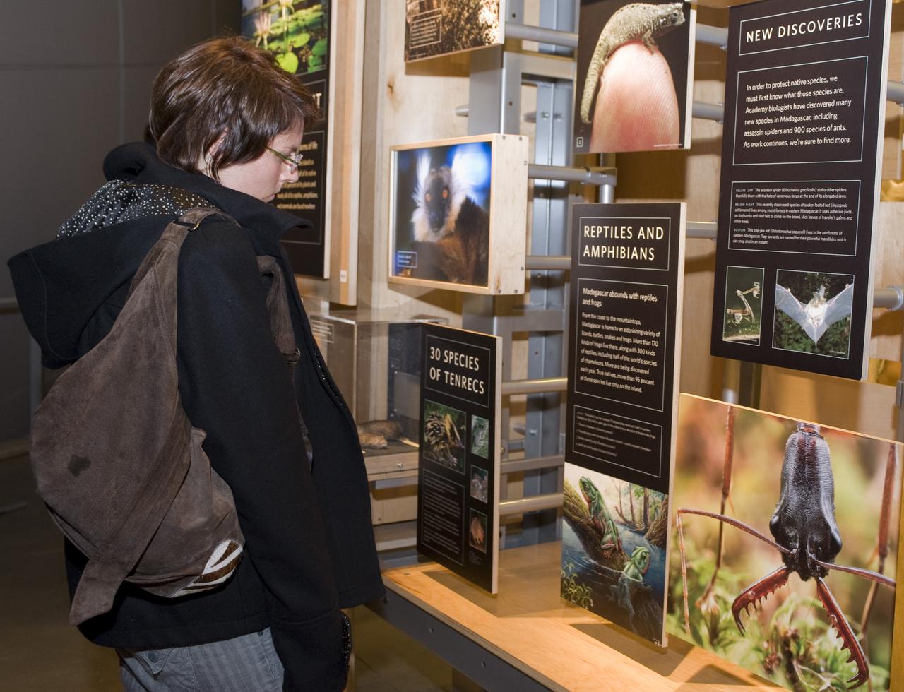 Yuri's Night 2009 held at the California Acaemy of Sciences in San Francisco, California