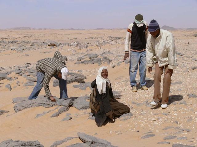 An SUV-sized Asteroid 2008TC# Impacts on October 7, 2008 in the Nubian Desert, Northern Sudan: Dr. Peter Jenniskens, NASA/SETI joined Muawia Shaddas of the University of Khartoum in leading an expedition on a search for samples.  (Meteorite 3rd-several at once)  Photo Credit: NASA/SETI/P. Jenniskens