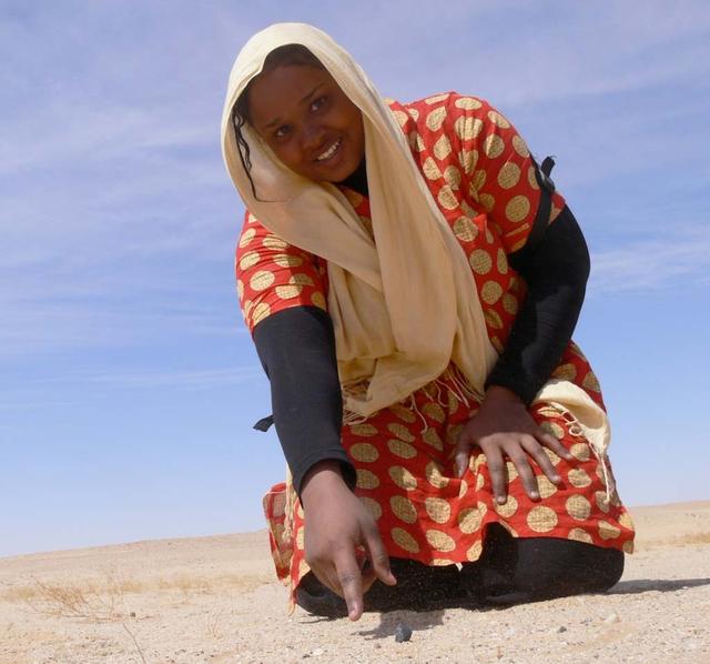An SUV-sized Asteroid 2008TC# Impacts on October 7, 2008 in the Nubian Desert, Northern Sudan: Dr. Peter Jenniskens, NASA/SETI joined Muawia Shaddas of the University of Khartoum in leading an expedition on a search for samples. 9meteorite 3rd trip-strange) Photo Credit: NASA/SETI/P. Jenniskens