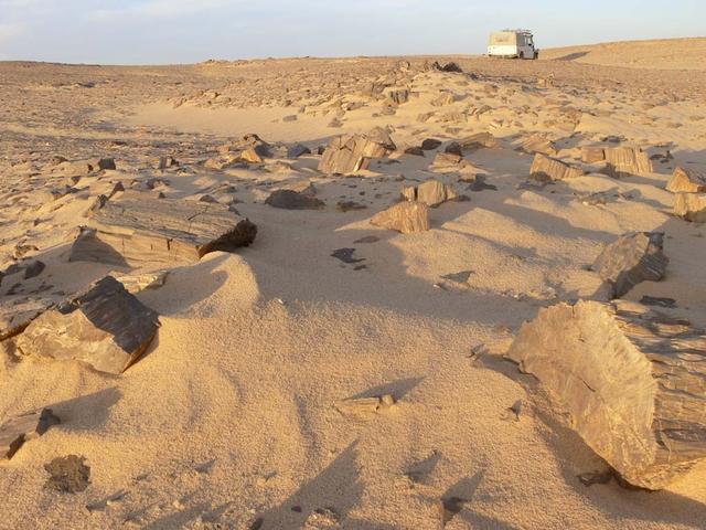 An SUV-sized Asteroid 2008TC# Impacts on October 7, 2008 in the Nubian Desert, Northern Sudan: Dr. Peter Jenniskens, NASA/SETI joined Muawia Shaddas of the University of Khartoum in leading an expedition on a search for samples. (perified wood) Photo Credit: NASA/SETI/P. Jenniskens