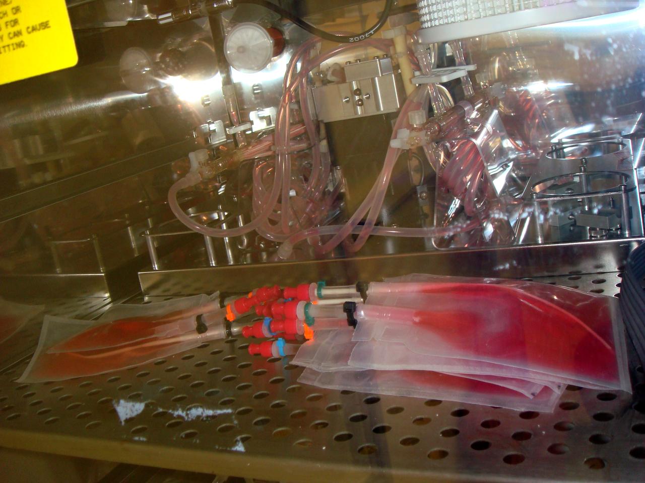 STS-131 payload; Ames Space Bio-Sciences Lab, Dr Eduardo Almeida P. I.; Media Bags: part of Space Tissue Loss hardware.