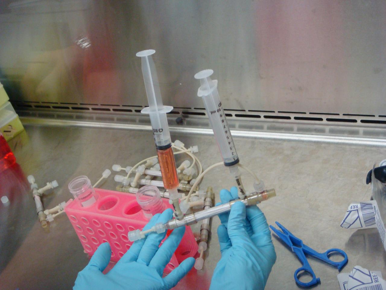 STS-131 payload; Ames Space Bio-Sciences Lab, Dr Eduardo Almeida P. I.; Cell Bioreactors with media syringes attached