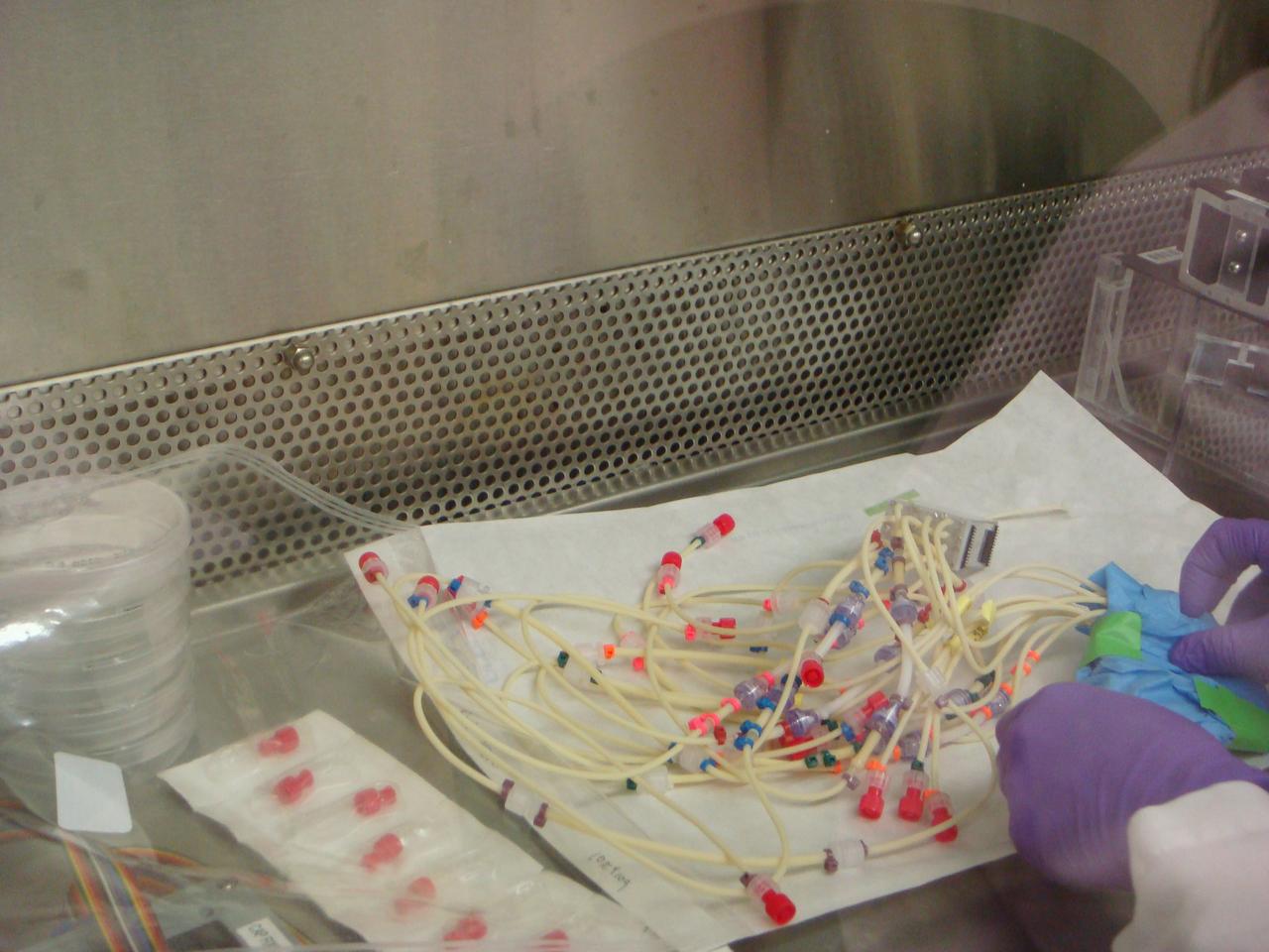 STS-131 payload; Ames Space Bio-Sciences Lab, Dr Eduardo Almeida P. I.; Assembly of Space Tissue Loss hardware