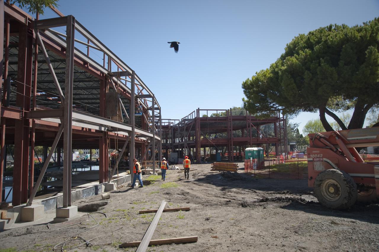Construction of the new NASA Ames Green Building dubbed Sustainability Base located on the Ames Research Center campus at Moffett Field, CA.  Hawk flying over looking for lunch.