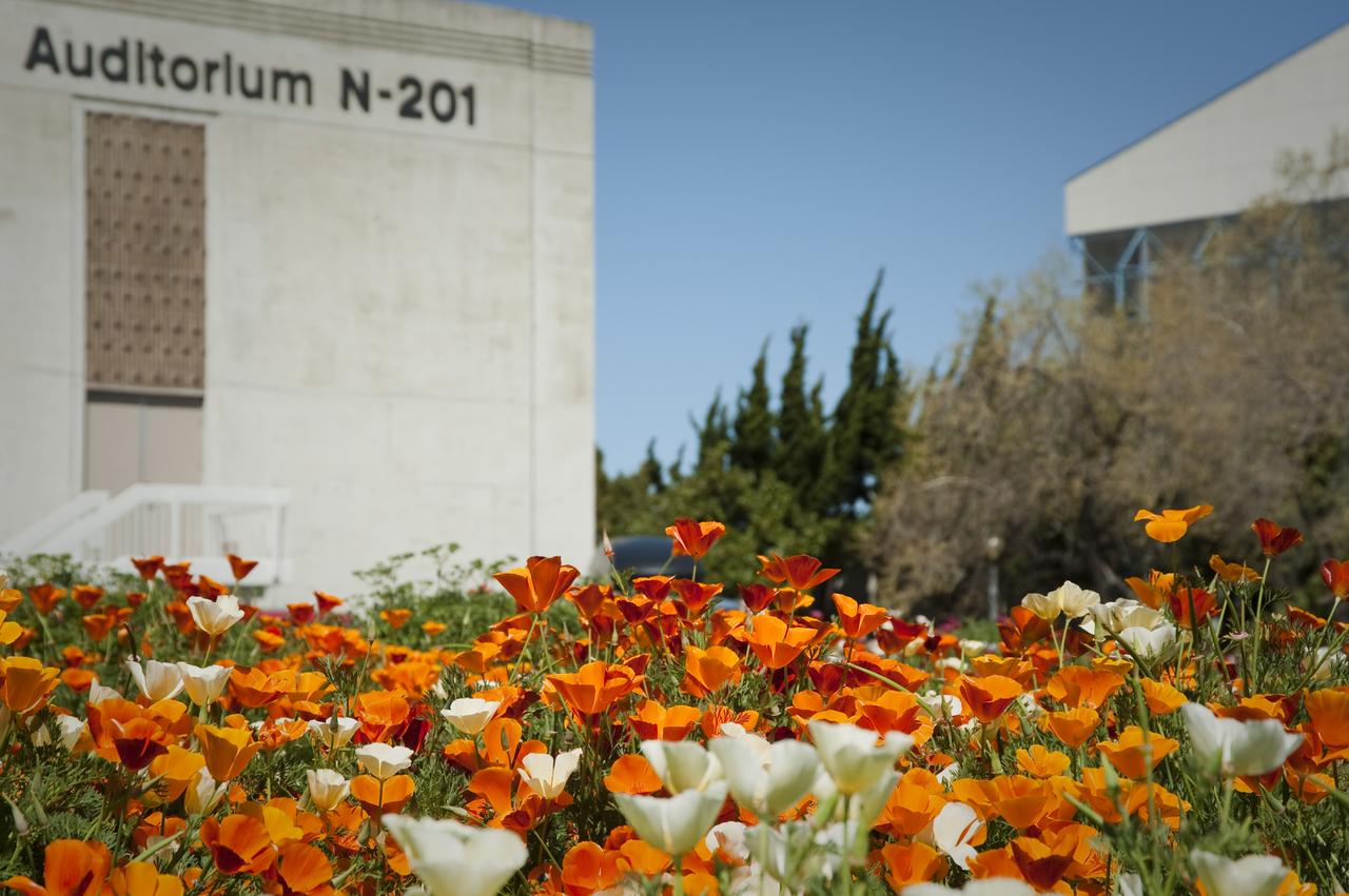 Environmental sustainability is put into practice here in the native plant gardens that surround the main auditorium building at NASA Ames Research Center, Moffett Field, Calif.
