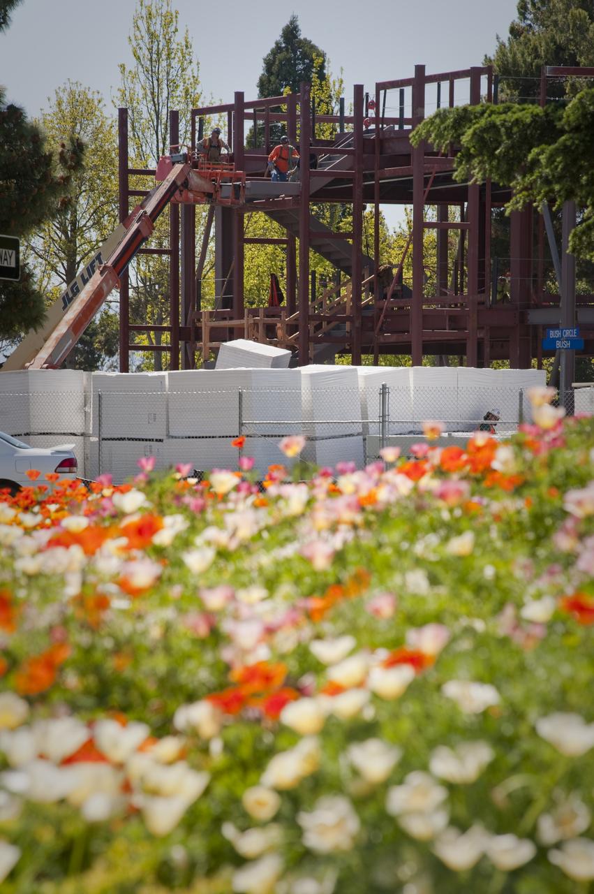 Environmental sustainability is put into practice here in the native plant gardens that surround the main auditorium building at NASA Ames Research Center, Moffett Field, Calif. Contruction of the new Green building N-232  can be seen in the background.