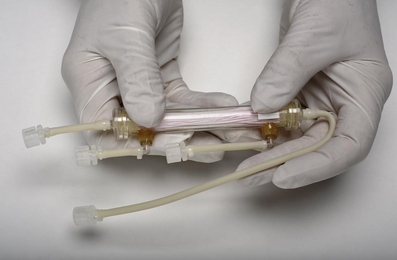 STS-131 payload; Ames Space Bio-Sciences Lab - Animal Enclosure Module (AEM) Space Tissue Loss Experiment Bioreactor - Cell Bioreactor, Stem Cell & Immune Experiement