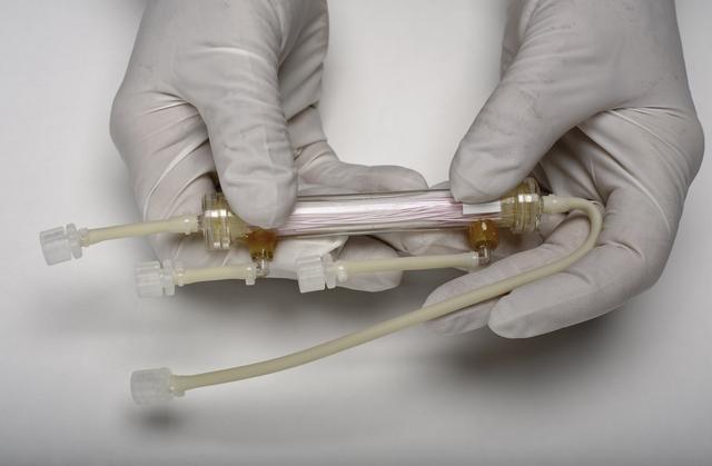 NASA image: ARC-2010-ACD10-0062-005