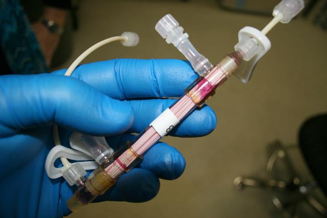 NASA image: ARC-2010-ACD10-0062-026