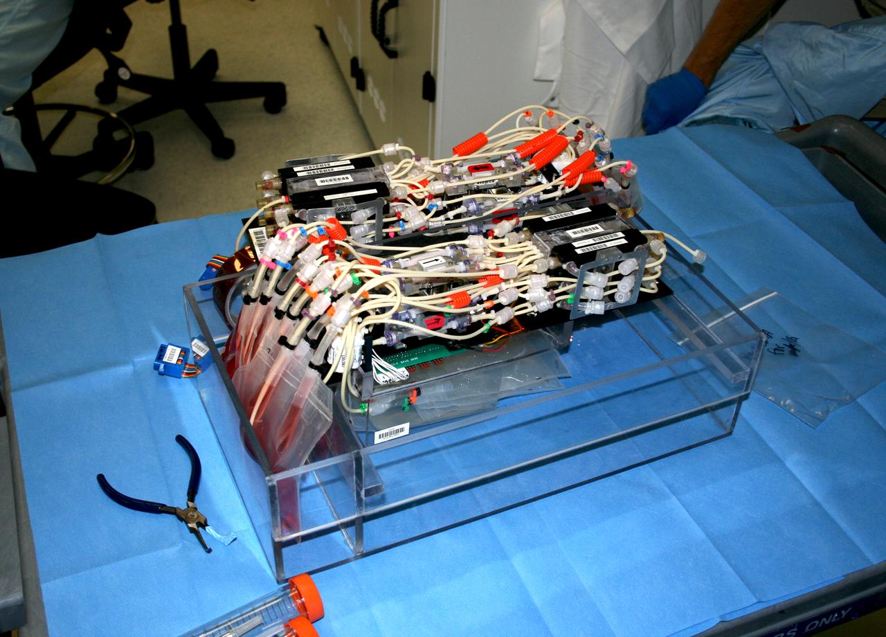 STS-131 payload; Ames Space Bio-Sciences Lab, Dr Eduardo Almeida P. I.; 3 of 4 rail assemblies prior to insertion into Space Tussue Loss container