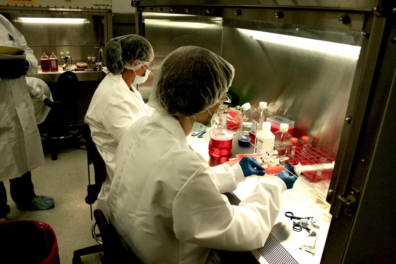 STS-131 payload; Ames Space Bio-Sciences Lab, Dr Eduardo Almeida P. I.; Scientists prepare cell bioreactors within glove box at Kennedy Space Center (KSC)