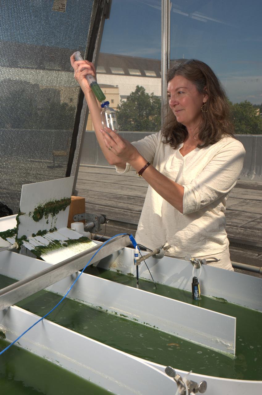 NASA Headquarter's Office of Infrastructure and Administration, Environmental Management Division presents the annual Blue Marble Award to Ames Scientist Leslie Prufert-Bebout receives . Leslie Prufert-Bebout is a microbial ecologist who studies many different species of algea in natural biological communities.