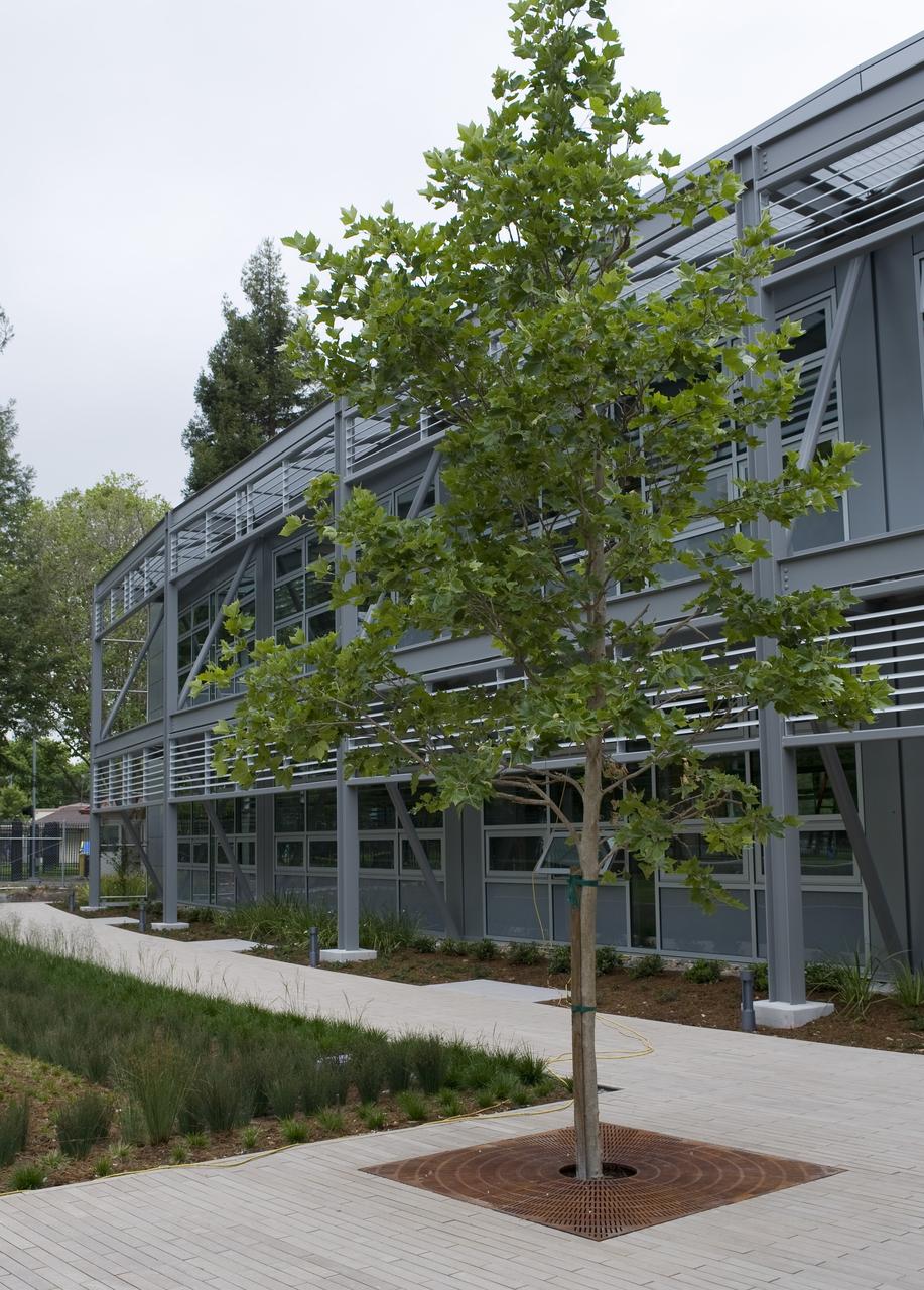 Construction of the new NASA Ames Green Building dubbed Sustainability Base located on the Ames Research Center campus at Moffett Field, CA. Landscaping.