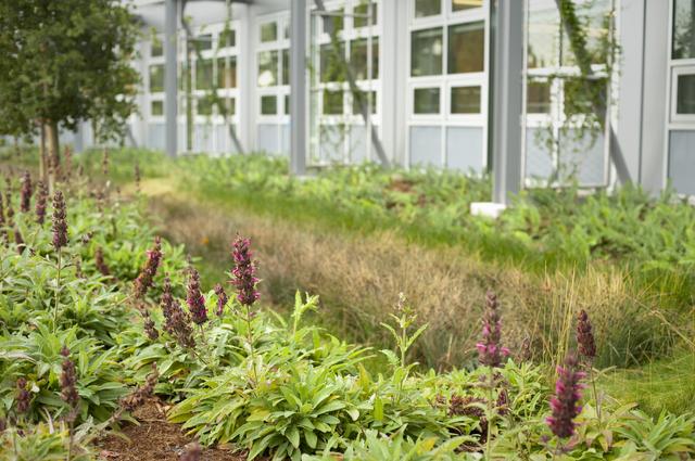 NASA image: ARC-2011-ACD10-0037-271