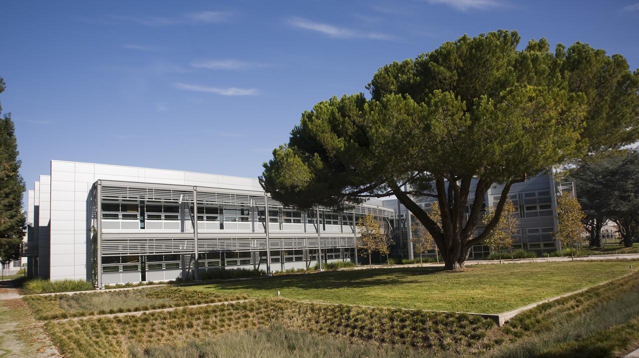 Courtyard at back of building.