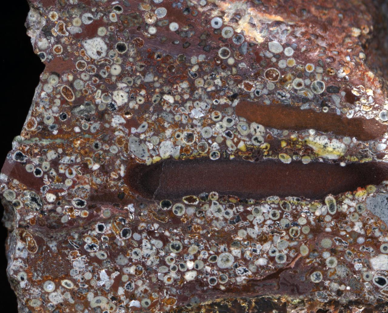 The millimeter-scale circles and irregular gray particles in this sample are formerly molten droplets ejected into space when a asteroid hit the Earth 2.63 billion years ago late in the Archean period.  Credit: Bruce Simonson, Oberlin College and Conservatory. The sample was cut and polished in Bruce's lab in Ohio, where the photo was taken, but the sample itself came from a spherule bed in Australia.  Copyright released with permission for public distribution.