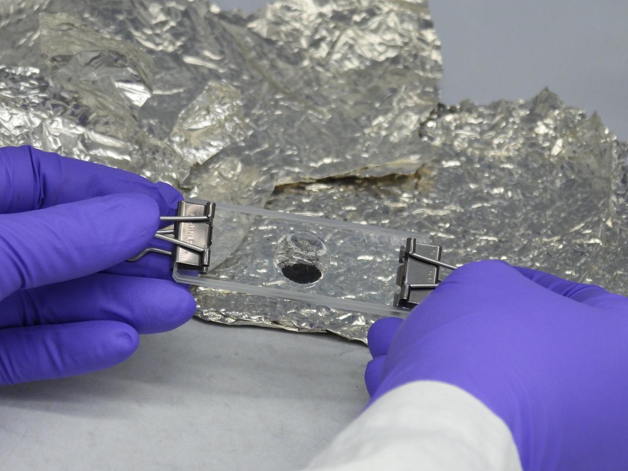 A portion of the asteroid Bennu sample delivered to Earth by NASA's OSIRIS-REx (Origins, Spectral Interpretation, Resource Identification, and Security – Regolith Explorer) mission, set into a microscope slide at the agency's Goddard Space Flight Center in Greenbelt, Maryland.