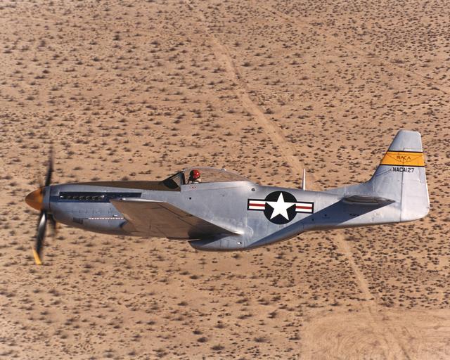 A restored NACA P-51D Mustang in flight
