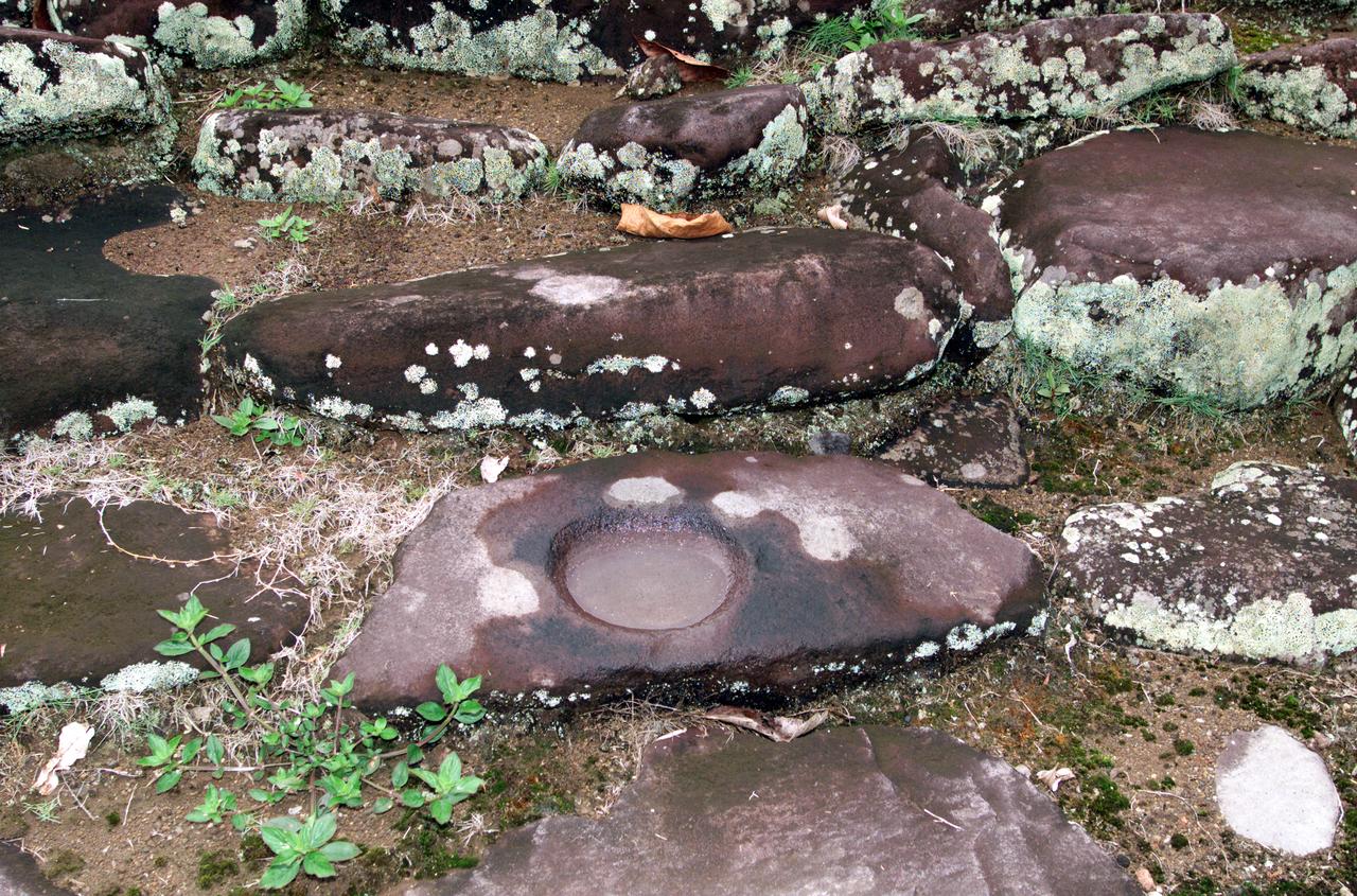Pre-Columbian archaeological ruins are revealed through Costa Rican rain forest in this photo taken during NASA's AirSAR 2004 Mesoamerica campaign. AirSAR 2004 Mesoamerica is a three-week expedition by an international team of scientists that uses an all-weather imaging tool, called the Airborne Synthetic Aperture Radar (AirSAR) which is located onboard NASA's DC-8 airborne laboratory. The radar, developed by NASA's Jet Propulsion Laboratory, can penetrate clouds and also collect data at night. Its high-resolution sensors operate at multiple wavelengths and modes, allowing AirSAR to see beneath treetops, through thin sand, and dry snow pack. Much of the archaeological evidence needed to understand Pre-Columbian societies in Central America comes from features on the landscape. Difficult terrain and logistics have limited ground data collection.  AirSAR helped to detect signs of ancient civilizations hidden beneath the forest. Its images will shed insights into the way modern humans interact with their landscape, and how ancient peoples lived and what became of their civilizations.